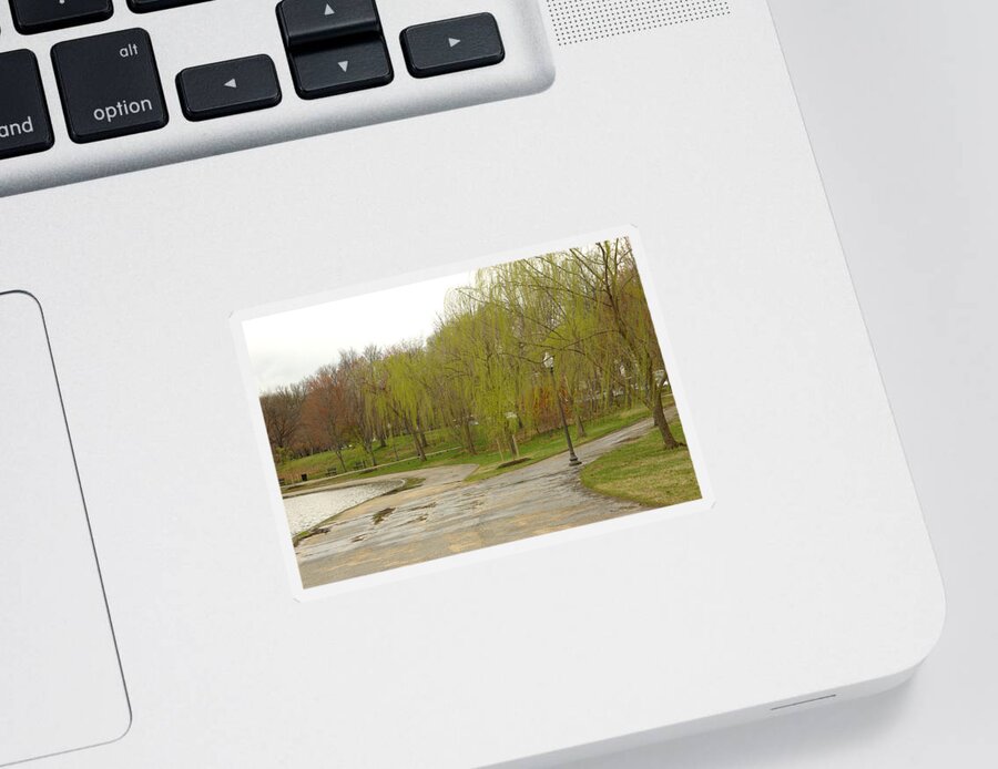 Landscape Park Washington Willow Tree Lake Sticker featuring the photograph Dnrf0401 by Henry Butz
