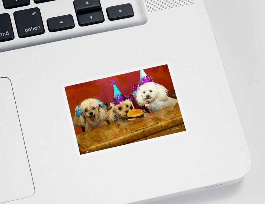 Dogs Sticker featuring the photograph Dog Party by Diana Haronis