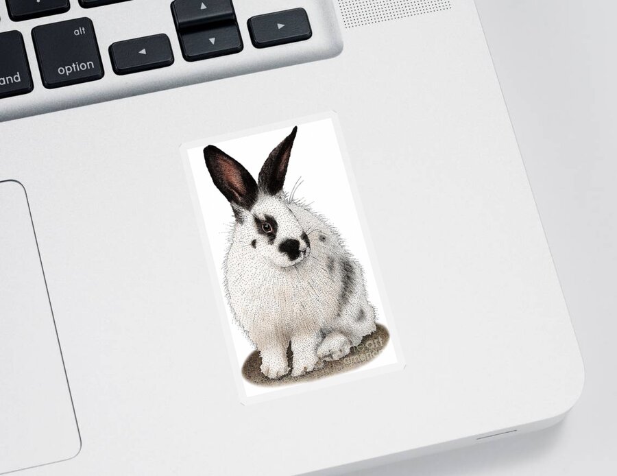 Domestic Rabbit Sticker featuring the photograph Domestic Rabbit by Roger Hall