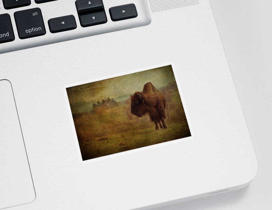 Bison Sticker featuring the photograph Doo Doo Valley by Trish Tritz