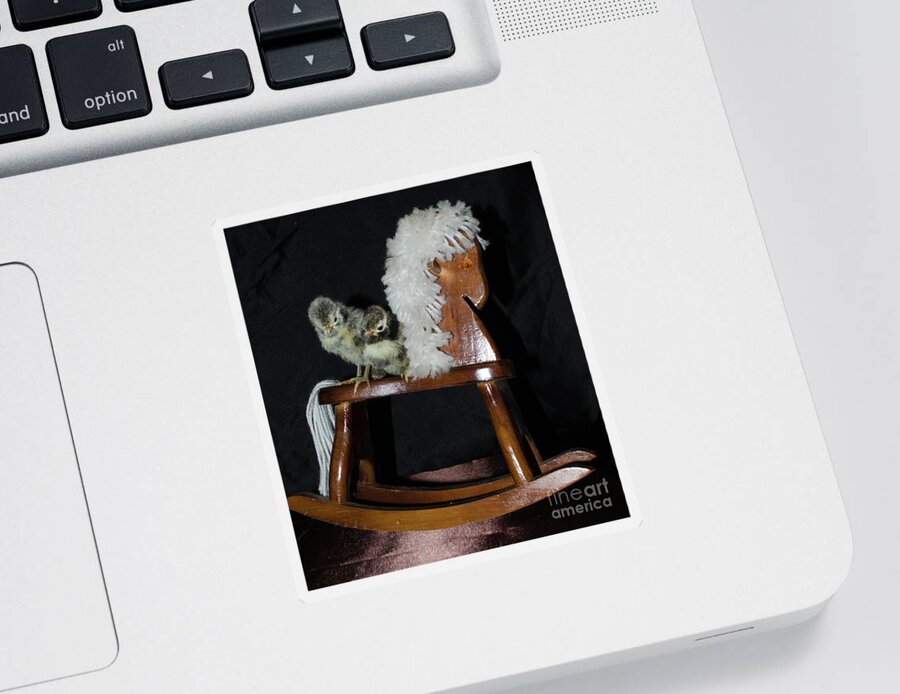 Bird Sticker featuring the photograph Double Seat Rocking Horse by Donna Brown