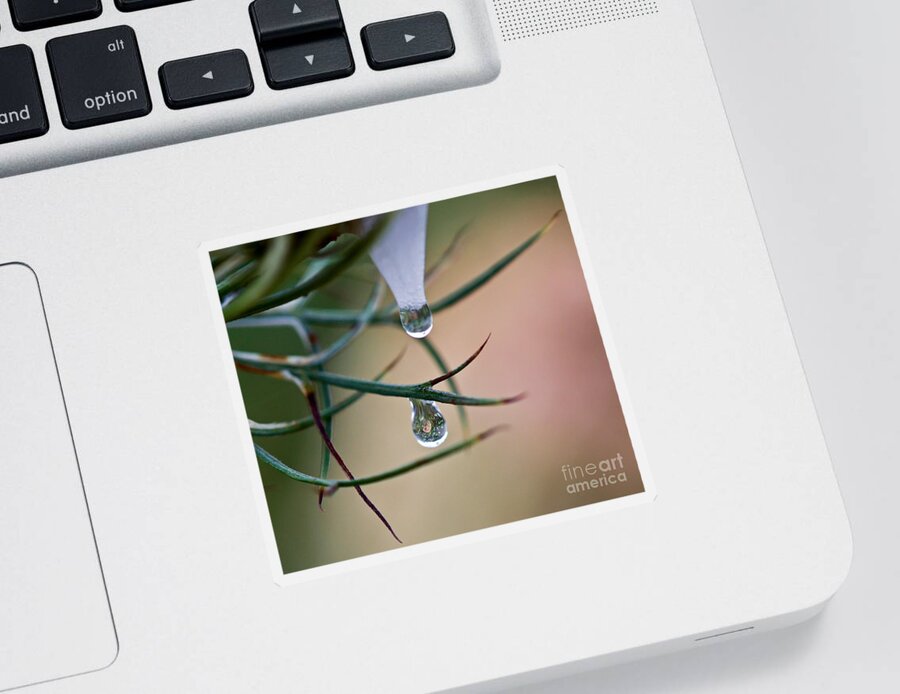 Macro Photography Sticker featuring the photograph Droplet Duo by Kerri Farley