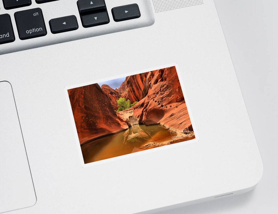 Red Cliffs Sticker featuring the photograph Dry Fall Reflections by Adam Jewell