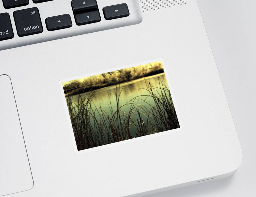 Hoar Frost Sticker featuring the photograph Early Morning Duck Hunting by Marilyn Hunt