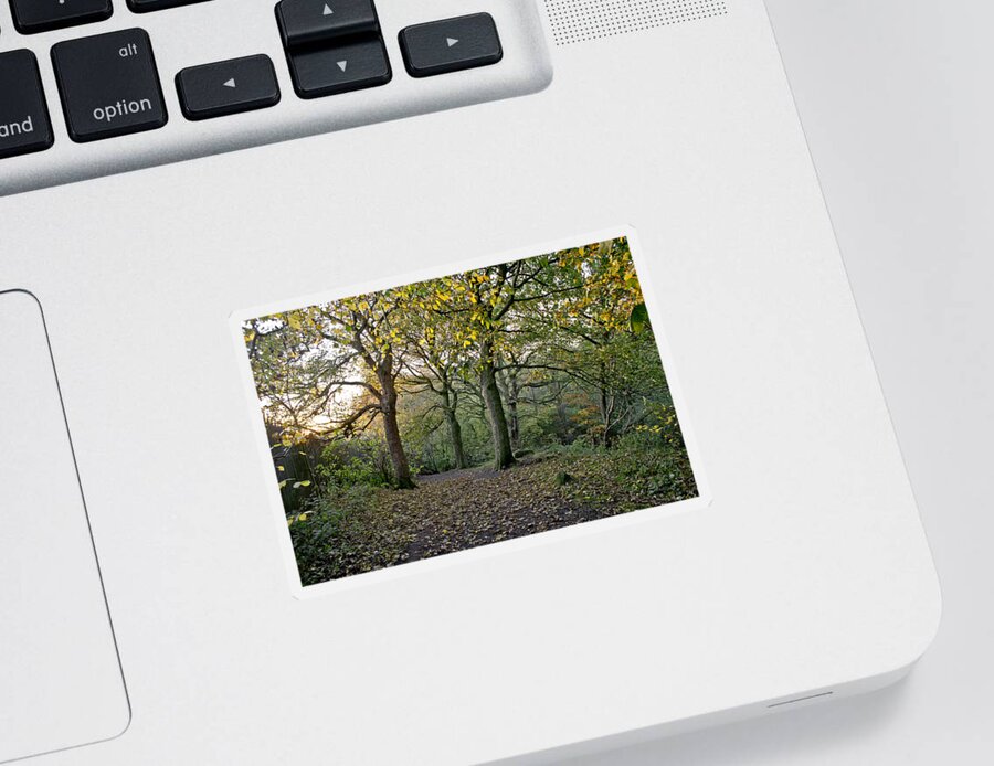 Autumn Sticker featuring the photograph Dusk in the autumn woods. by Elena Perelman