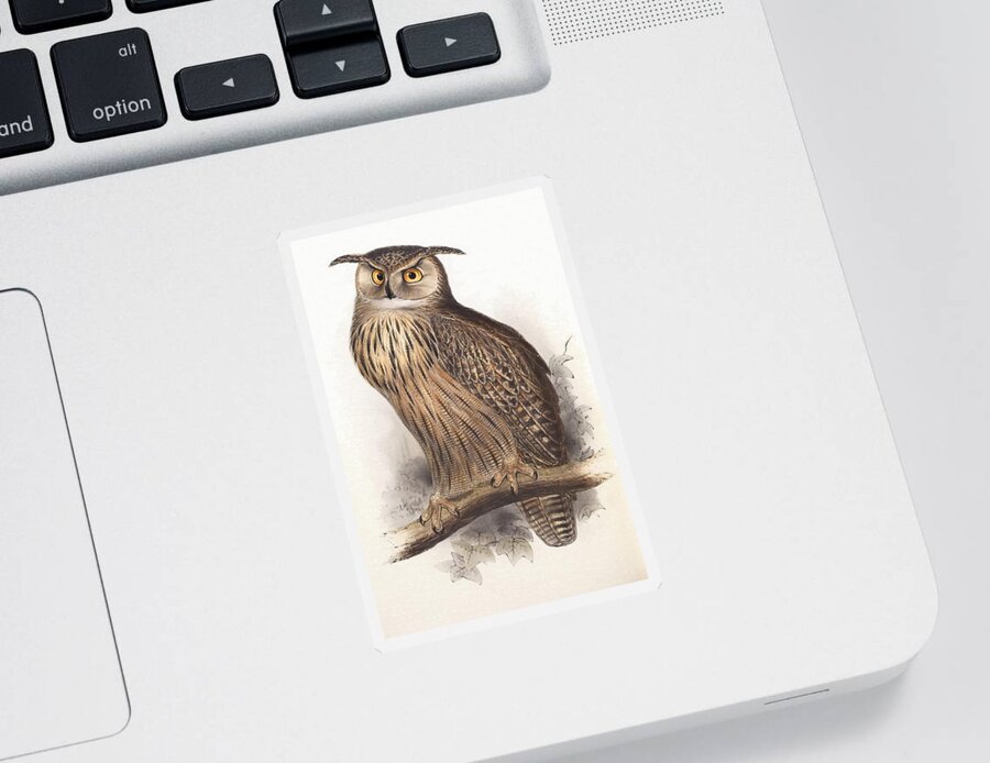 Edward Lear Sticker featuring the painting Eagle Owl by Edward Lear