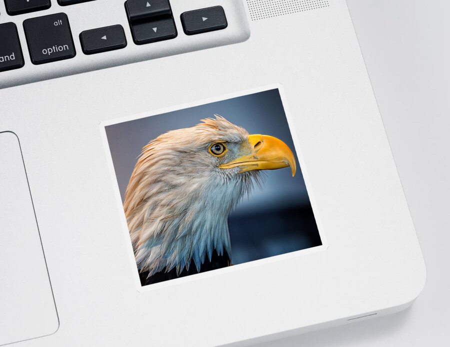 Eagle Sticker featuring the photograph Eagle With An Attitude by Bill and Linda Tiepelman