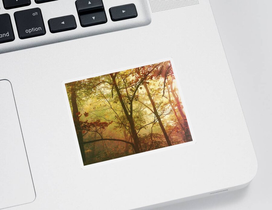 Early Morning Mist Sticker featuring the photograph Early Morning Mist by Bellesouth Studio