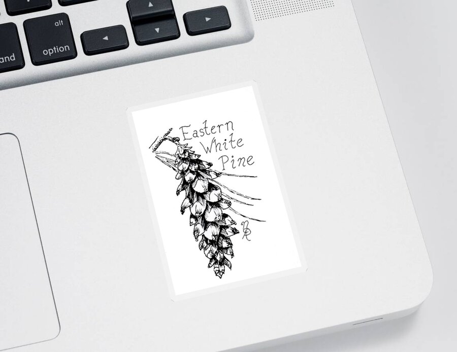 Pine Sticker featuring the drawing Eastern White Pine cone on a branch by Nicole Angell