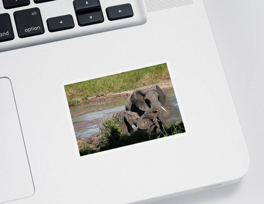 Africa Sticker featuring the photograph Elephants at the River by Mary Lee Dereske