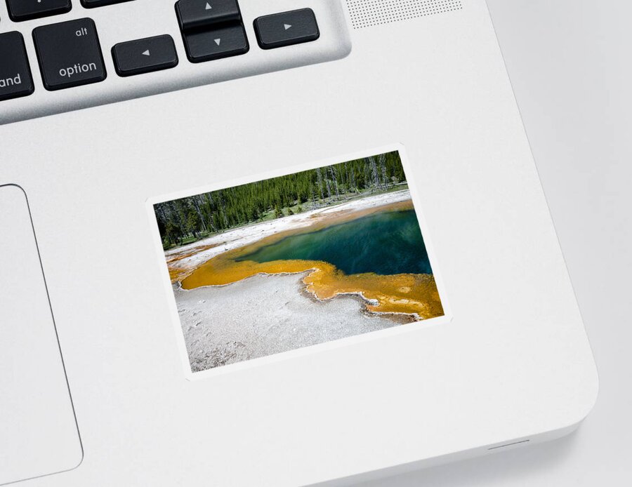 Emerald Pool Sticker featuring the photograph Emerald Pool by Crystal Wightman