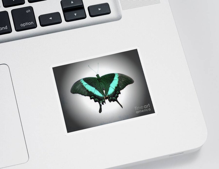 Macro Sticker featuring the photograph Emerald Swallowtail Butterfly by Karen Adams