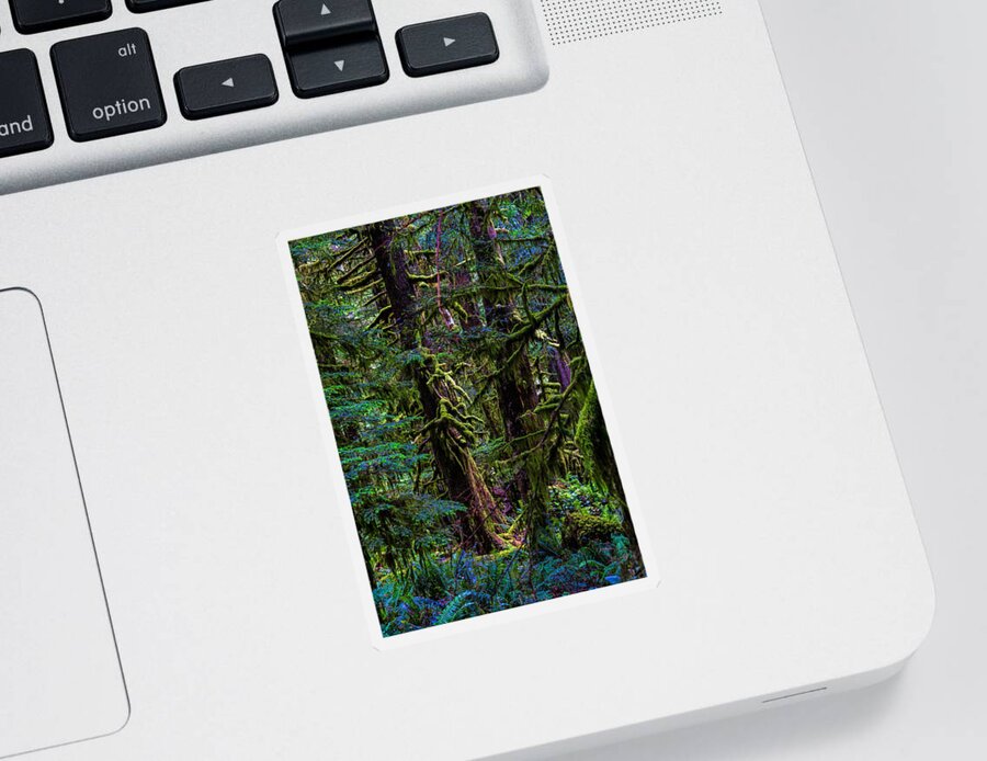 Rain Forest Sticker featuring the photograph Enchanted by Alana Thrower