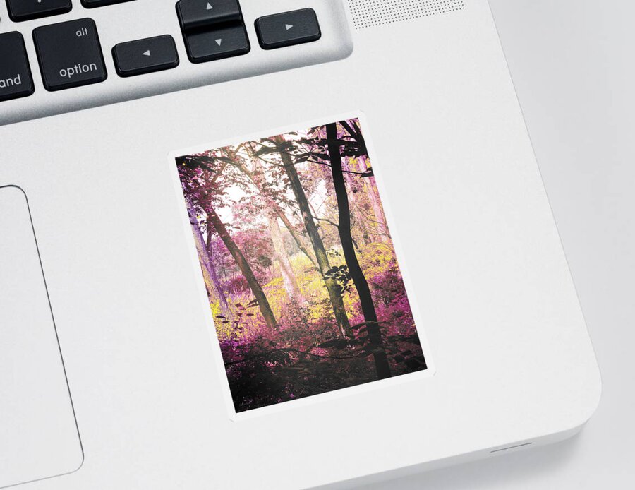 Enchanted Forest Sticker featuring the photograph Enchanted Forest by Shawna Rowe