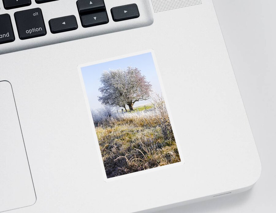 Amazing Sticker featuring the photograph Enchanting snow covered landscape by Jorgo Photography