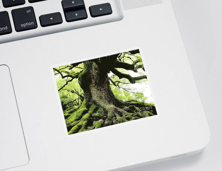 Tree Sticker featuring the photograph Endurance in Japan - Digital Art by Carol Groenen