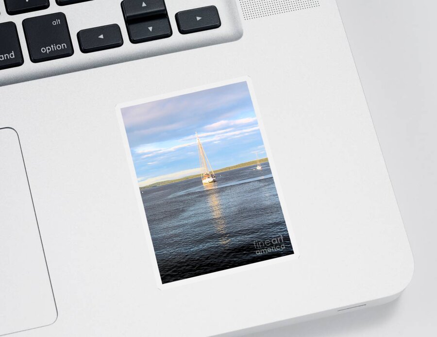 Sailboat Sticker featuring the photograph Evening Sail in Frenchman's Bay by Elizabeth Dow