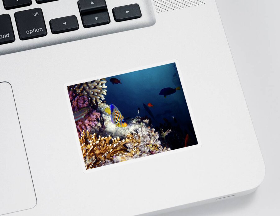Sea Sticker featuring the photograph Exciting Red Sea World by Johanna Hurmerinta