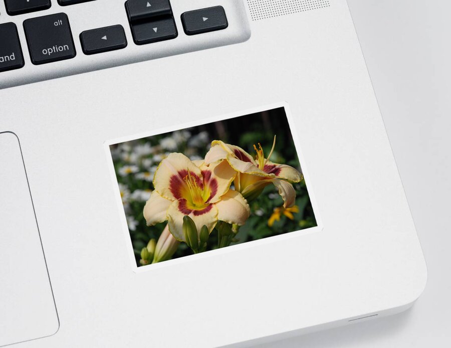 Lily Flowers Sticker featuring the photograph Exotic Lily by Ee Photography