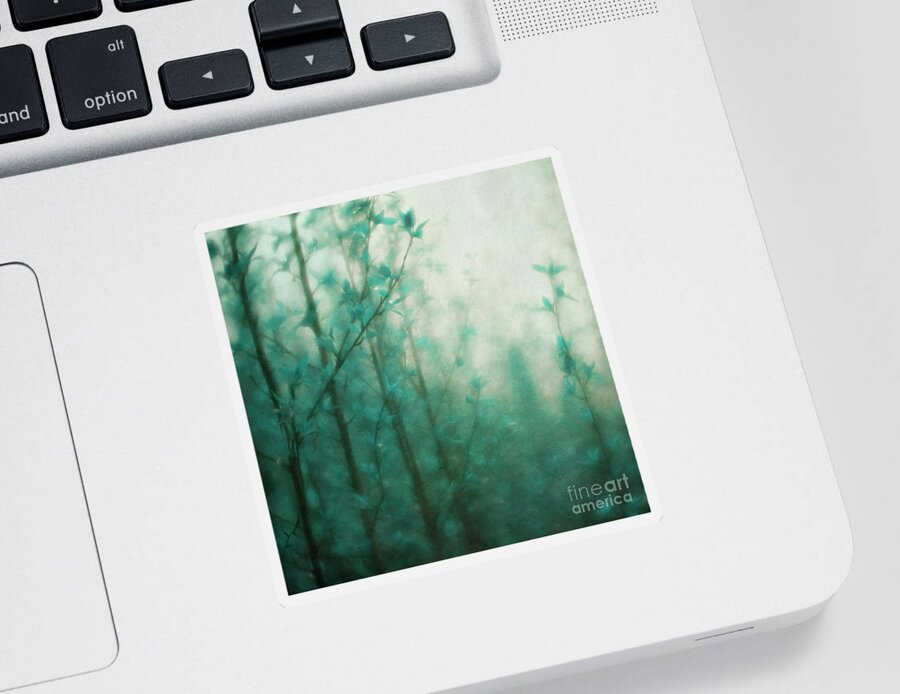 Blue Sticker featuring the photograph In the deep forest 2 by Priska Wettstein