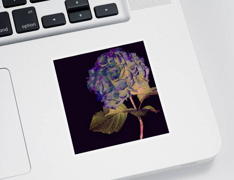 Blue Flora Sticker featuring the mixed media Fairy Hydrangea by Susan Maxwell Schmidt