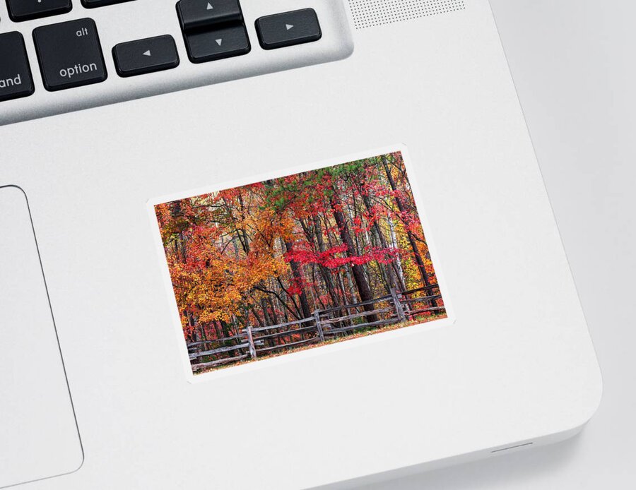 Blue Ridge Parkway Sticker featuring the photograph Fall And The Wood Fence by Carol Montoya