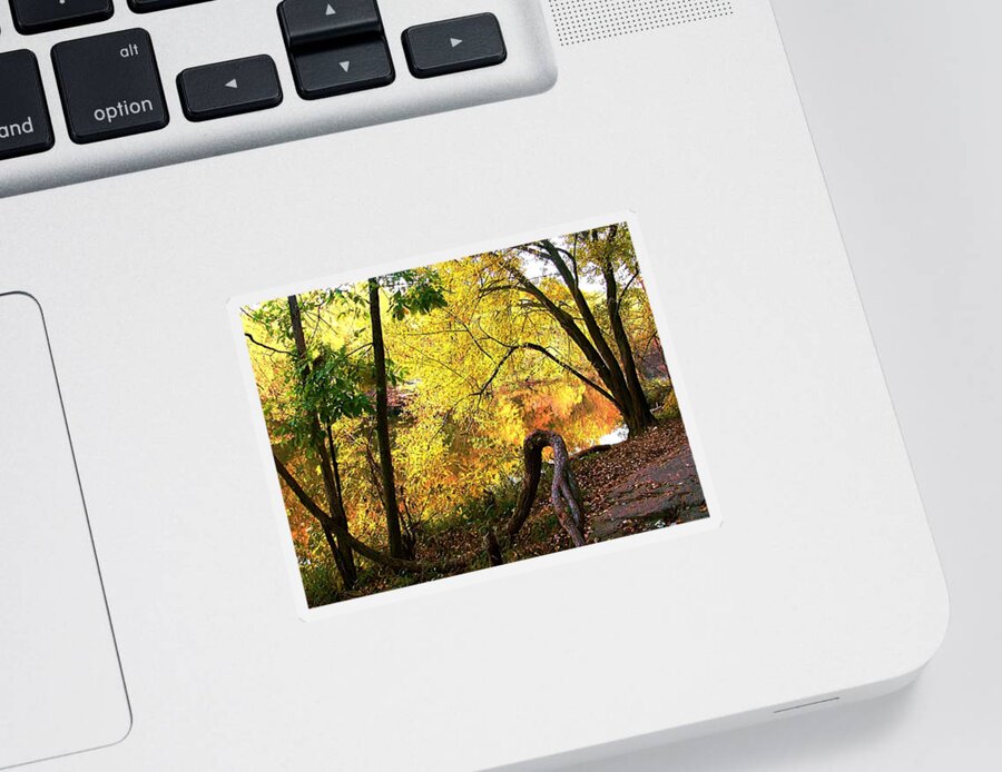 Fall Sticker featuring the photograph Fall At Lincoln Lake	 by Terry Anderson