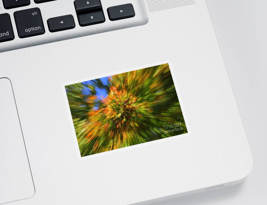 Fall Sticker featuring the photograph Fall Bursts on the Scene by Maxine Kamin