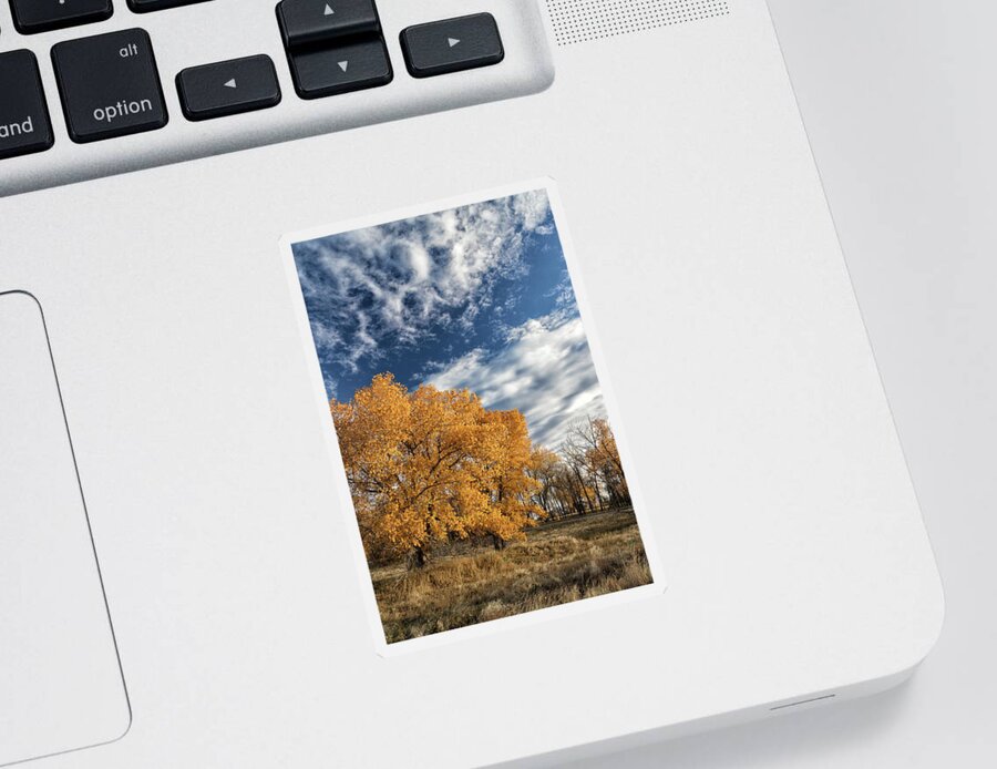 Fall Foliage Sticker featuring the photograph Fall Foliage and Beautiful Blue Skies by Tony Hake
