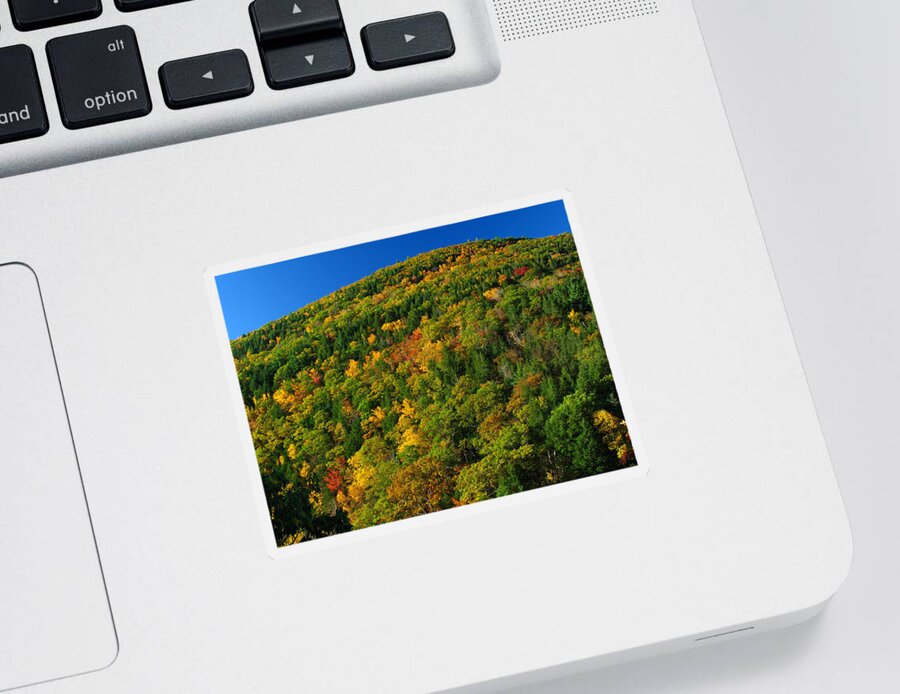 Landscape Sticker featuring the photograph Fall Foliage Photography by Juergen Roth