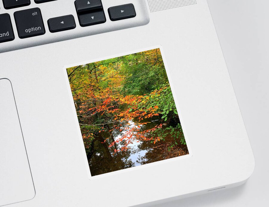 Fall Leaves Sticker featuring the photograph Fall is in the Air by Rafael Salazar