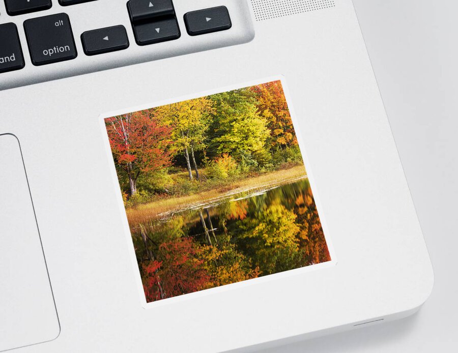 Fall Reflection Sticker featuring the photograph Fall Reflection by Chad Dutson
