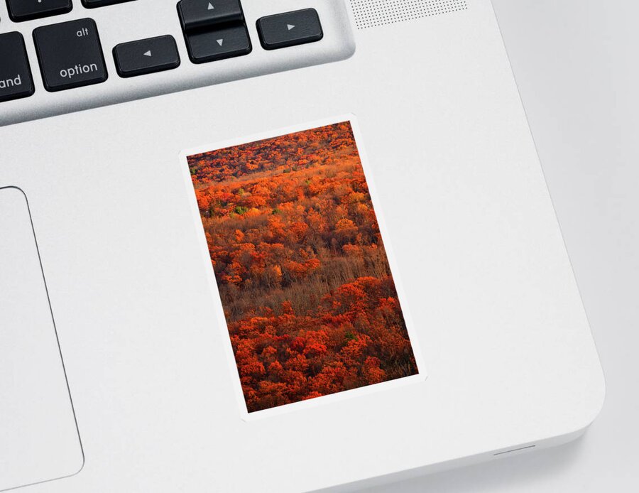 Fall Trees Along The At Sticker featuring the photograph Fall Trees along the AT by Raymond Salani III