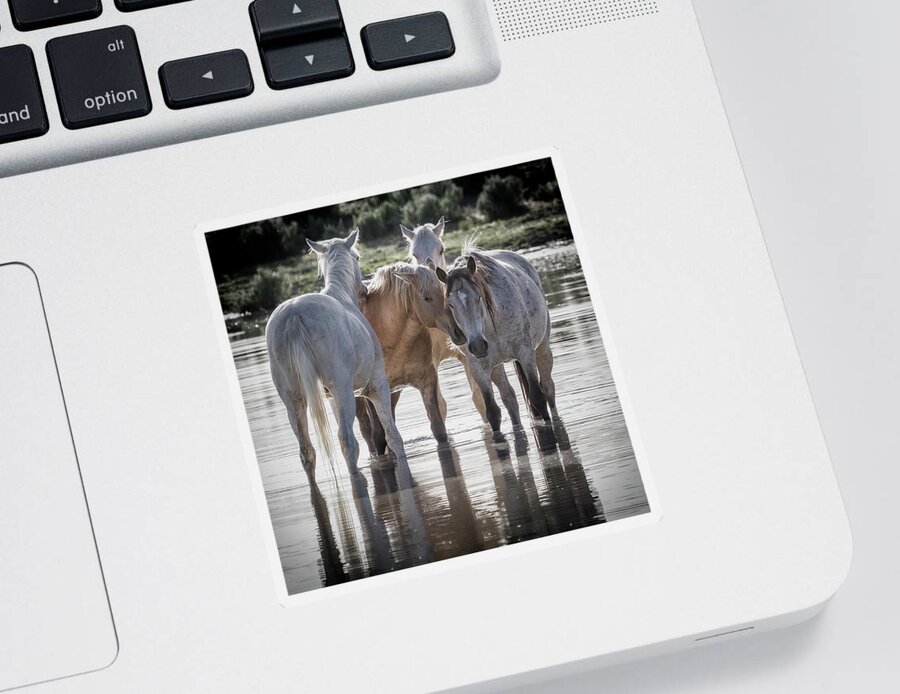 Wild Horses Sticker featuring the photograph Family Time Sq by Belinda Greb