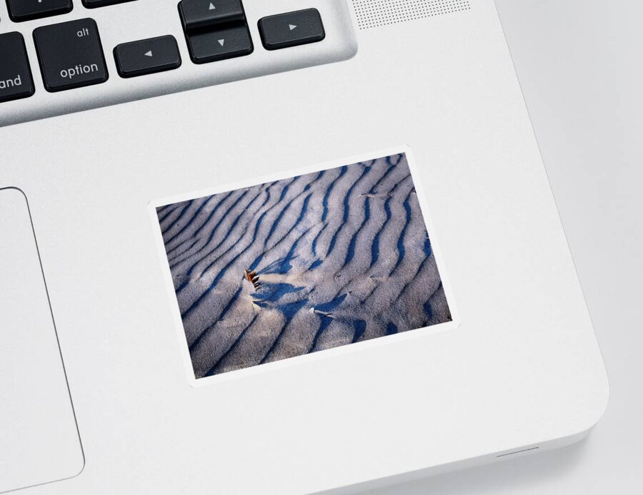 Sand Patterns Sticker featuring the photograph Feather in Sand by Michelle Calkins