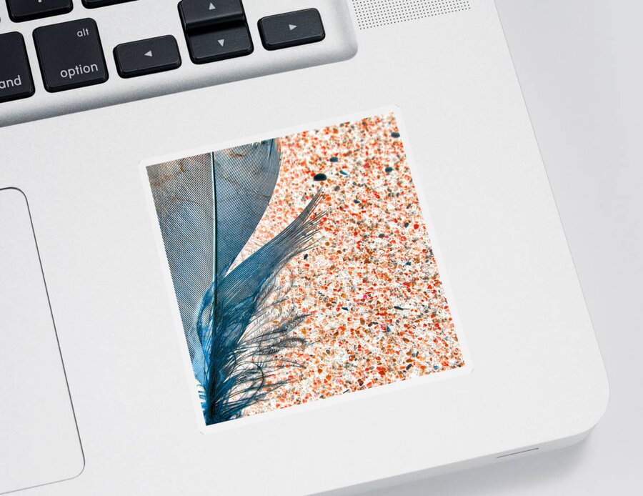 Feather Sticker featuring the photograph Feather on the Beach by Bonnie Bruno