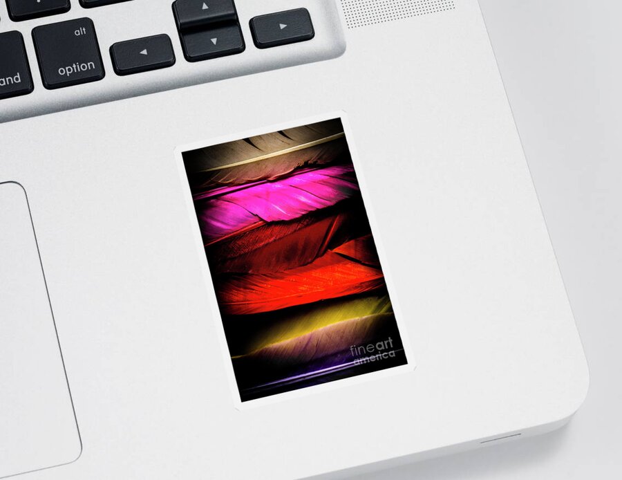 Colorful Sticker featuring the photograph Feathers of rainbow color by Jorgo Photography