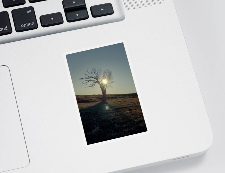 Tree Sticker featuring the photograph Field and Tree by Troy Stapek