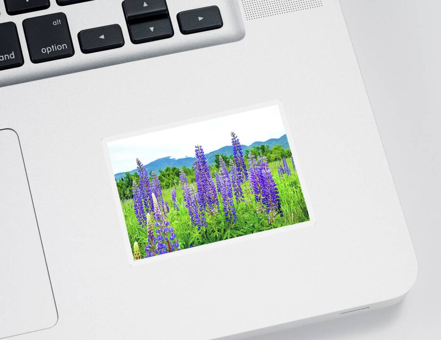 Franconia Notch Sticker featuring the photograph Field of Purple by Greg Fortier