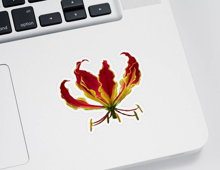 Lily Sticker featuring the photograph Fire lily by Zina Stromberg