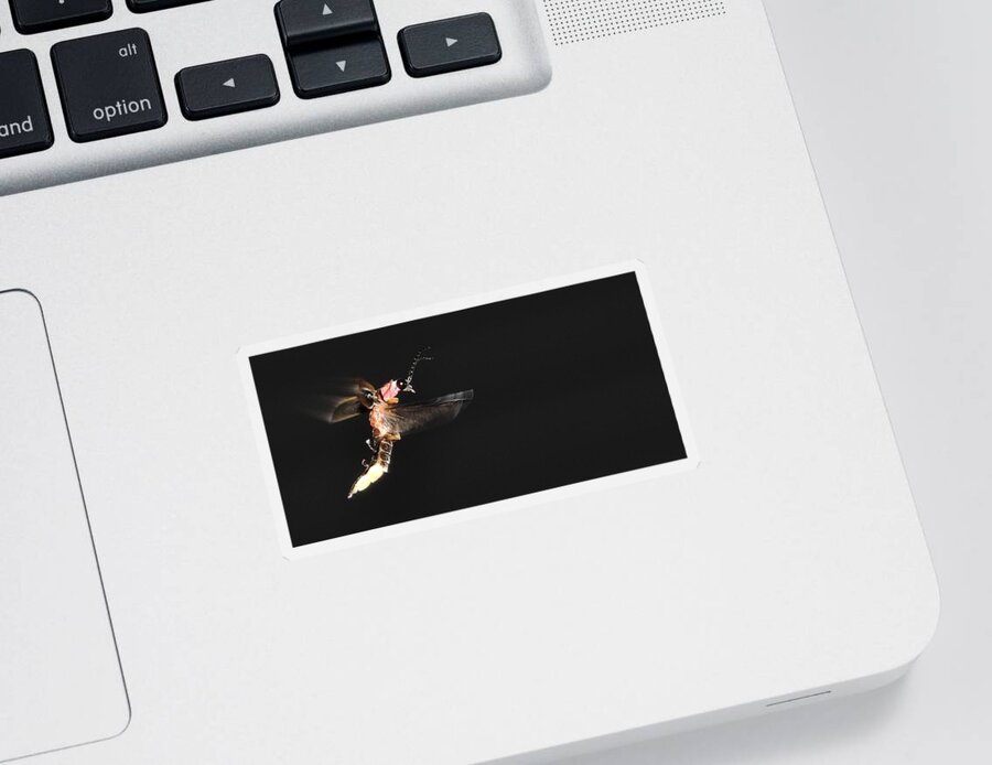 Firefly Sticker featuring the photograph Firefly In Flight by Mark Fuller