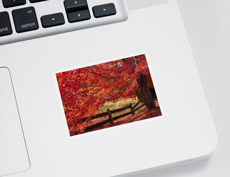 Autumn Sticker featuring the photograph Flames on the Fence by Darren White