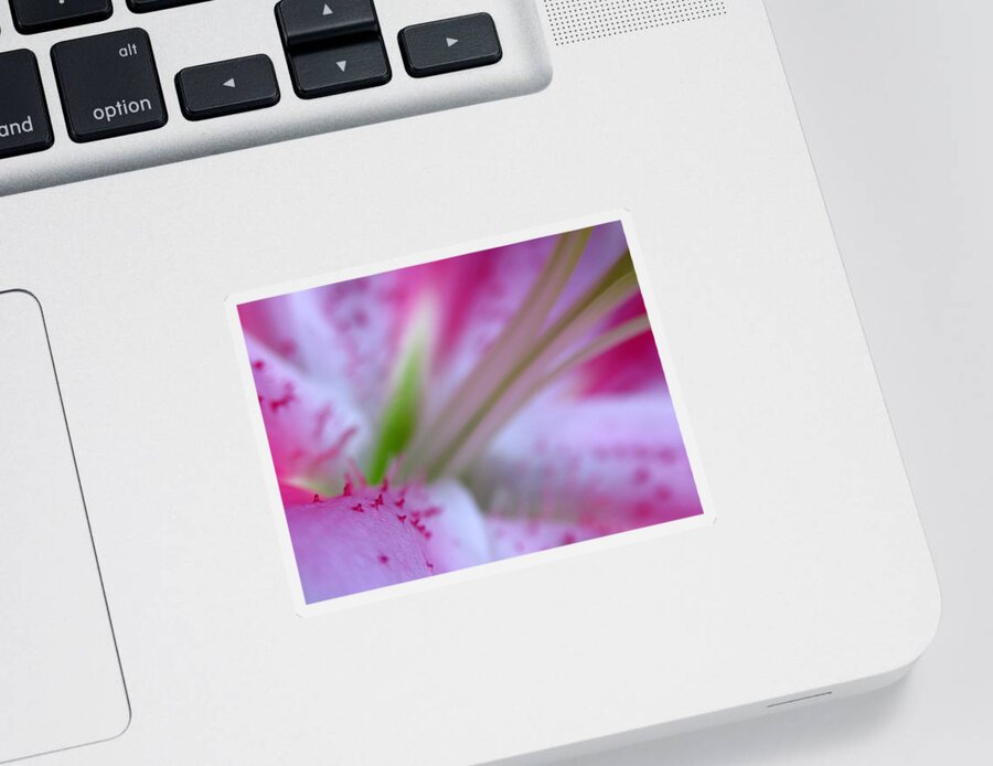Lily Sticker featuring the photograph Floral Close Up of a Lily by Juergen Roth