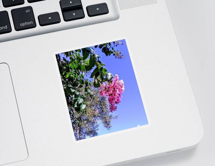 Flowering Tree Sticker featuring the photograph Floral Essence by Suzanne Berthier