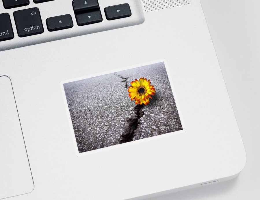 Abstract Sticker featuring the photograph Flower in asphalt by Carlos Caetano