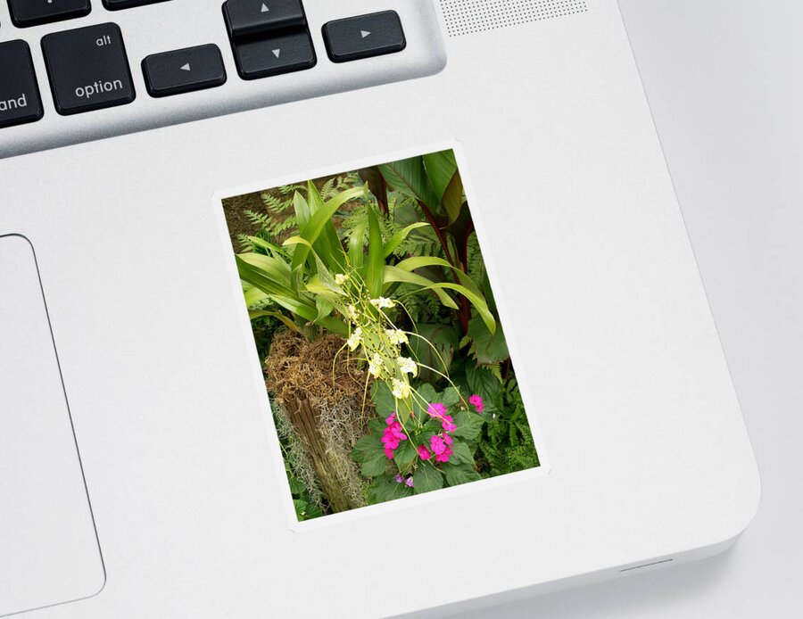 Flower Sticker featuring the photograph Flower Mix by Amy Fose