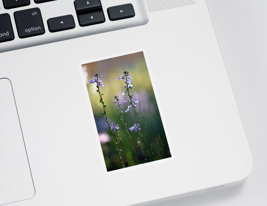 Nature Sticker featuring the photograph Flowers by the pond by Robert Meanor