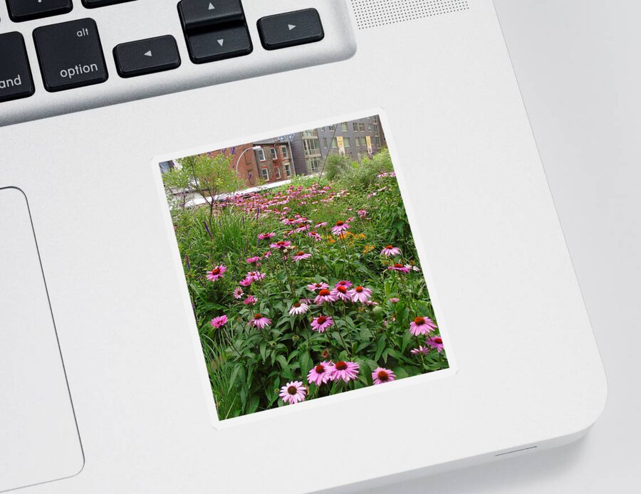 Flowerscape Sticker featuring the photograph Flowers on the High Line by Susan Lafleur