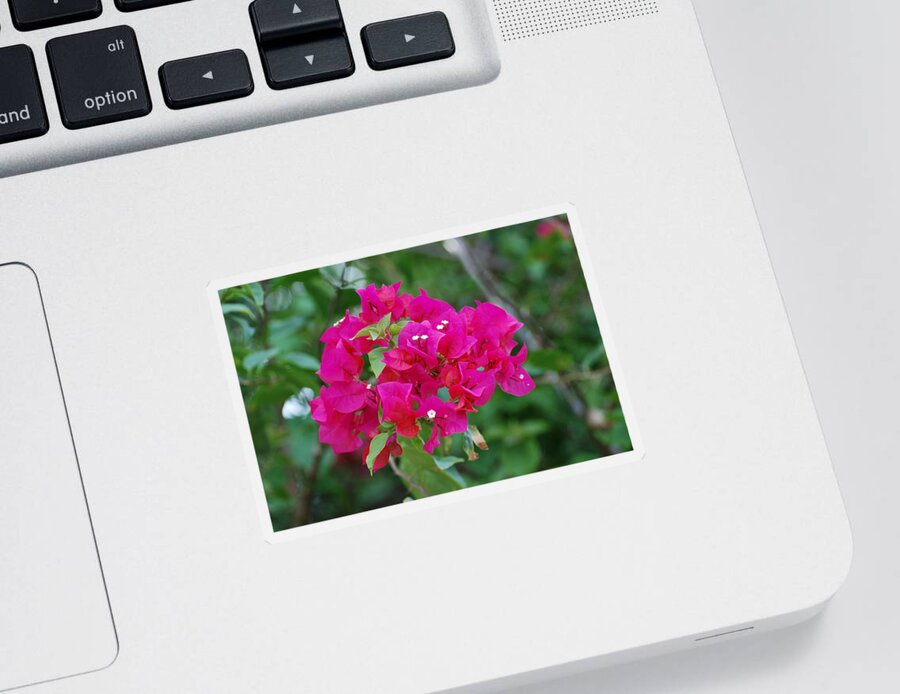 Flowers Sticker featuring the photograph Flowers by Rob Hans