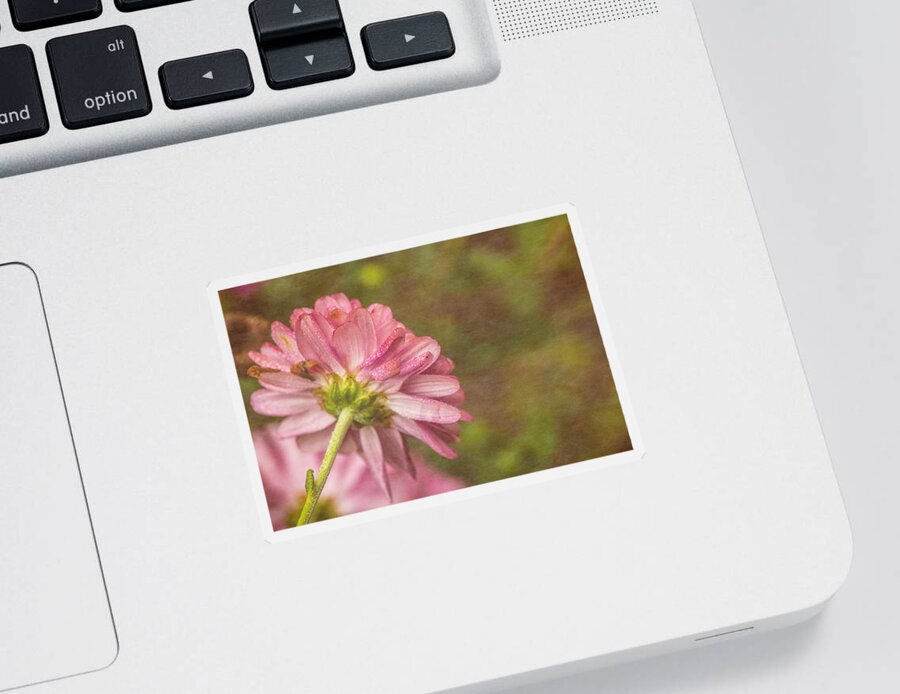 Flowery Sticker featuring the photograph Flowery by Karol Livote